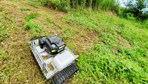 2. 草刈りロボットの導入